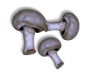 Captcha image 3920